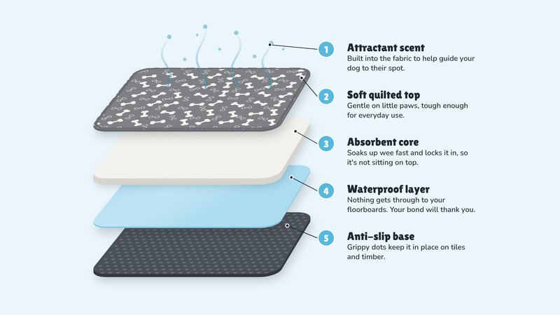 Every Layer Has A Job