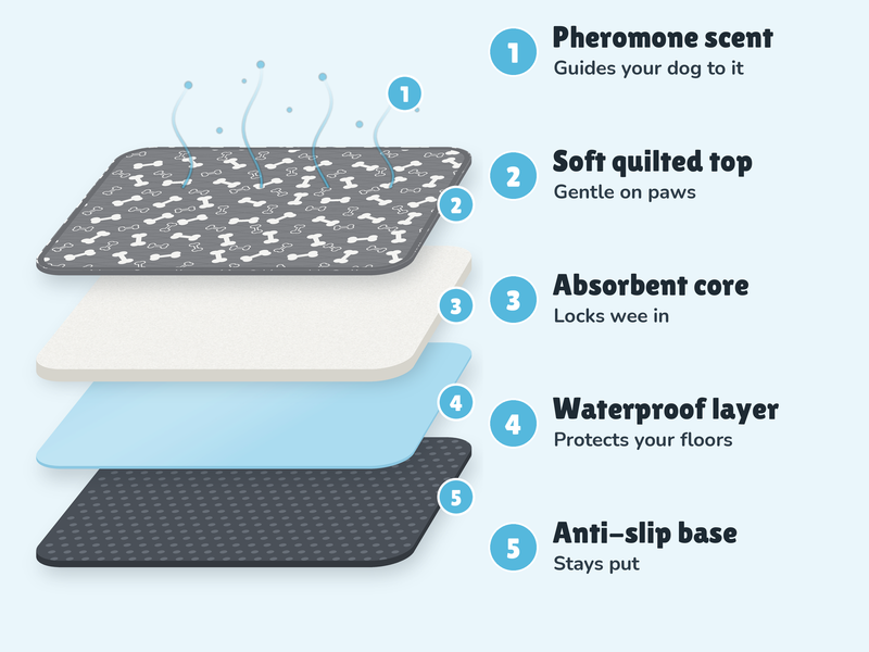 Every Layer Has A Job