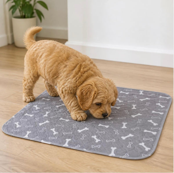 Puppy sniffing and finding its spot on RooPad