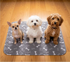 Three small dogs sitting on RooPad