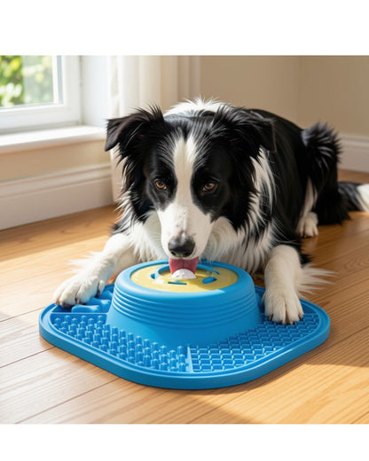A border collie licking The Calm Bowl at home