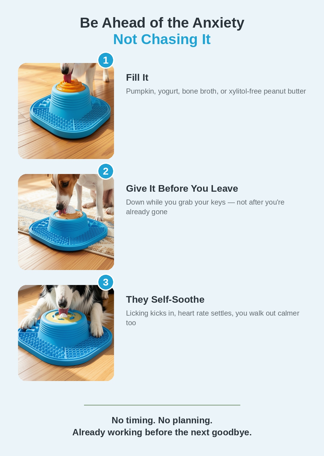 The Calm Bowl
